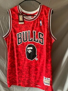Authentic Bape Mitchell & Ness Chicago Bulls x Jordan Jersey